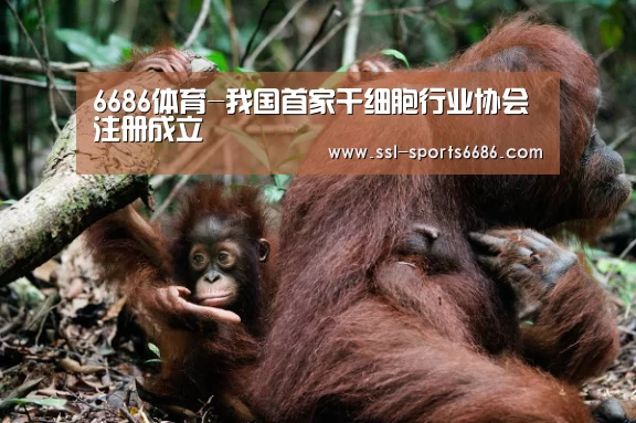 6686体育-我国首家干细胞行业协会注册成立(图3) 6686体育