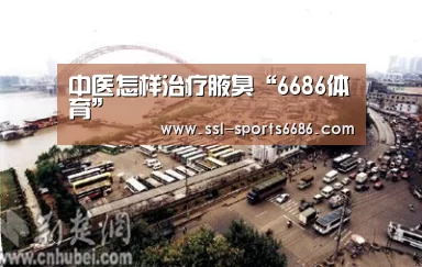 中医怎样治疗腋臭“6686体育”(图3) 6686体育