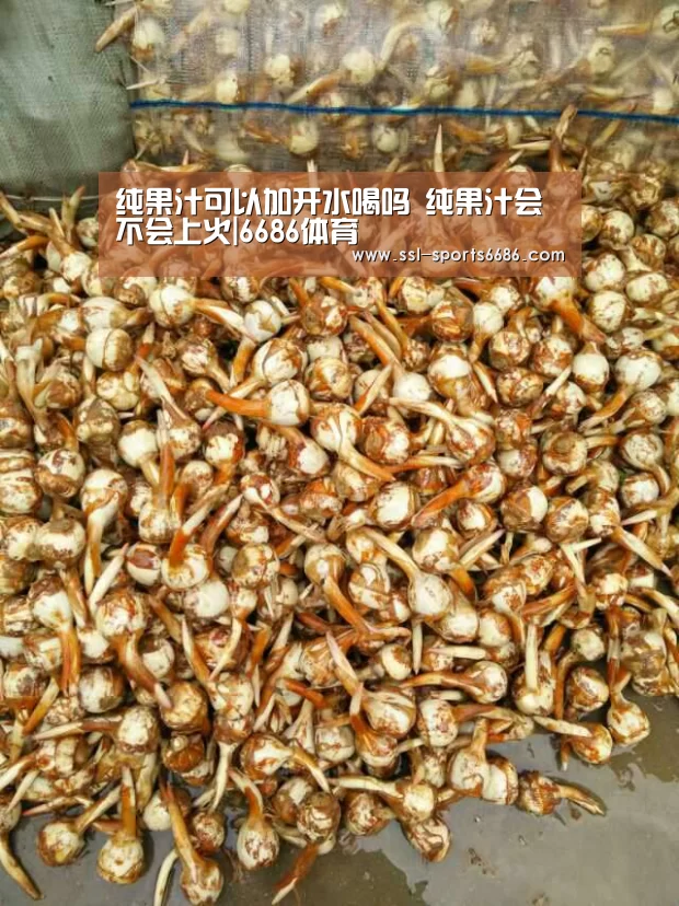 纯果汁可以加开水喝吗 纯果汁会不会上火|6686体育(图3) 6686体育